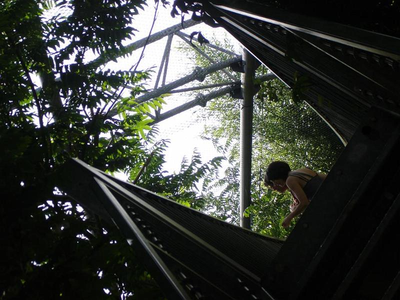 Parc des oiseaux (6)
